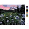 Maľovanie podľa čísel - FIALOVÉ KVETY NA ÚPÄTI HORY (DENNIS FRATES)