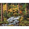 Maľovanie podľa čísel - POTOK V LESE (DENNIS FRATES)