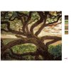 Maľovanie podľa čísel - STARÝ STROM (DENNIS FRATES)