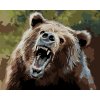 Maľovanie podľa čísel - MEDVEĎ S OTVORENOU TLAMOU (D. RUSTY RUST)