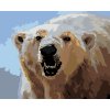 Maľovanie podľa čísel - ĽADOVÝ MEDVEĎ UKAZUJÚCI ZUBY (D. RUSTY RUST)