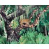 Maľovanie podľa čísel - RYS NA STROME V DŽUNGLI (D. RUSTY RUST)