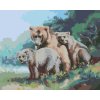 Maľovanie podľa čísel - MEDVEDIA RODINKA (D. RUSTY RUST)