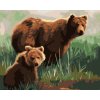 Maľovanie podľa čísel - MEDVEĎ S MLÁĎAŤOM V TRÁVE (D. RUSTY RUST)