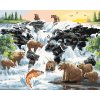Maľovanie podľa čísel - MEDVEĎ PRI VODOPÁDE NA LOVE LOSOSOV A MAPA SVETA (D. RUSTY RUST)