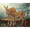 Maľovanie podľa čísel - SRNA A SRNEC (D. RUSTY RUST)