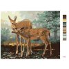 Maľovanie podľa čísel - SRNA A SRNEC (D. RUSTY RUST)