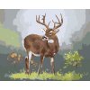 Maľovanie podľa čísel - SRNEC (D. RUSTY RUST)