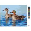 Maľovanie podľa čísel - KAČKY NA VODE (D. RUSTY RUST)