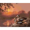 Maľovanie podľa čísel - KAČKY PRI JAZERE A ZÁPAD SLNKA (D. RUSTY RUST)