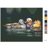 Maľovanie podľa čísel - ZAMILOVANÉ KAČKY NA VODE (D. RUSTY RUST)