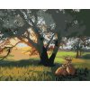 Maľovanie podľa čísel - JELEŇ POD STROMOM (D. RUSTY RUST)