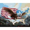 Maľovanie podľa čísel - OROL S VLAJKOU USA (D. RUSTY RUST)