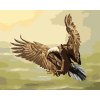 Maľovanie podľa čísel - LOVIACI OROL (D. RUSTY RUST)