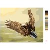 Maľovanie podľa čísel - LOVIACI OROL (D. RUSTY RUST)