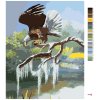 Maľovanie podľa čísel - OROL NA KONÁRI PRI VODE (D. RUSTY RUST)