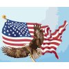 Maľovanie podľa čísel - OROL NA STOŽIARE VLAJKY USA (D. RUSTY RUST)