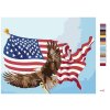 Maľovanie podľa čísel - OROL NA STOŽIARE VLAJKY USA (D. RUSTY RUST)