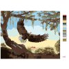 Maľovanie podľa čísel - OROL PRI VZLETE (D. RUSTY RUST)