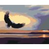 Maľovanie podľa čísel - OROL NAD VODOU ZA SÚMRAKU (D. RUSTY RUST)