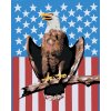 Maľovanie podľa čísel - OROL NA AMERICKOM POZADÍ (D. RUSTY RUST)