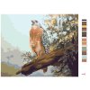 Maľovanie podľa čísel - DRAVEC NA KONÁRI (D. RUSTY RUST)