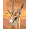 Maľovanie podľa čísel - GAZELA (D. RUSTY RUST)