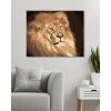 Maľovanie podľa čísel - LEV (D. RUSTY RUST)