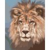 Maľovanie podľa čísel - LEV - KRÁĽ ZVIERAT (D. RUSTY RUST)