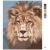 Maľovanie podľa čísel - LEV - KRÁĽ ZVIERAT (D. RUSTY RUST)