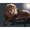 Maľovanie podľa čísel - LEV LEŽIACI NA KONÁRI (D. RUSTY RUST)