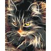 Maľovanie podľa čísel - NÁDHERNÁ DVOJFAREBNÁ MAČKA