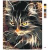 Maľovanie podľa čísel - NÁDHERNÁ DVOJFAREBNÁ MAČKA
