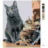 Maľovanie podľa čísel - ČAKAJÚCE MAČKY