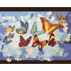 Maľovanie podľa čísel - PUZZLE A MOTÝLE (D. RUSTY RUST)