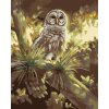 Maľovanie podľa čísel - SOVA NA STROME (D. RUSTY RUST)