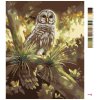 Maľovanie podľa čísel - SOVA NA STROME (D. RUSTY RUST)
