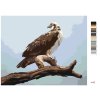 Maľovanie podľa čísel - OROL NA KONÁRI 2 (D. RUSTY RUST)