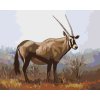 Maľovanie podľa čísel - ANTILOPA V SAVANE (D. RUSTY RUST)