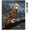 Maľovanie podľa čísel - SOVA NA BRVNE V NOCI (D. RUSTY RUST)