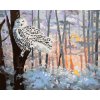 Maľovanie podľa čísel - SNEŽNÁ SOVA V LESE (D. RUSTY RUST)