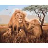Maľovanie podľa čísel - LEV A SMEČKA (D. RUSTY RUST)