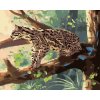 Maľovanie podľa čísel - OCELOT SEDIACI NA KONÁRI (D. RUSTY RUST)