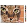 Maľovanie podľa čísel - ZELENÉ OČI MAČKY