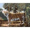 Maľovanie podľa čísel - TIGER A BAMBUS (D. RUSTY RUST)