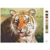 Maľovanie podľa čísel - ODPOČÍVAJÚCI TIGER PORTRÉT (D. RUSTY RUST)