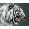Maľovanie podľa čísel - REVÚCI BIELY TIGER PORTRÉT (D. RUSTY RUST)