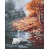 Maľovanie podľa čísel - LABUTE A JESEŇ (D. RUSTY RUST)