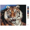 Maľovanie podľa čísel - TIGER PORTRÉT (D. RUSTY RUST)