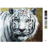 Maľovanie podľa čísel - BIELY TIGER POHĽAD PORTRÉT (D. RUSTY RUST)